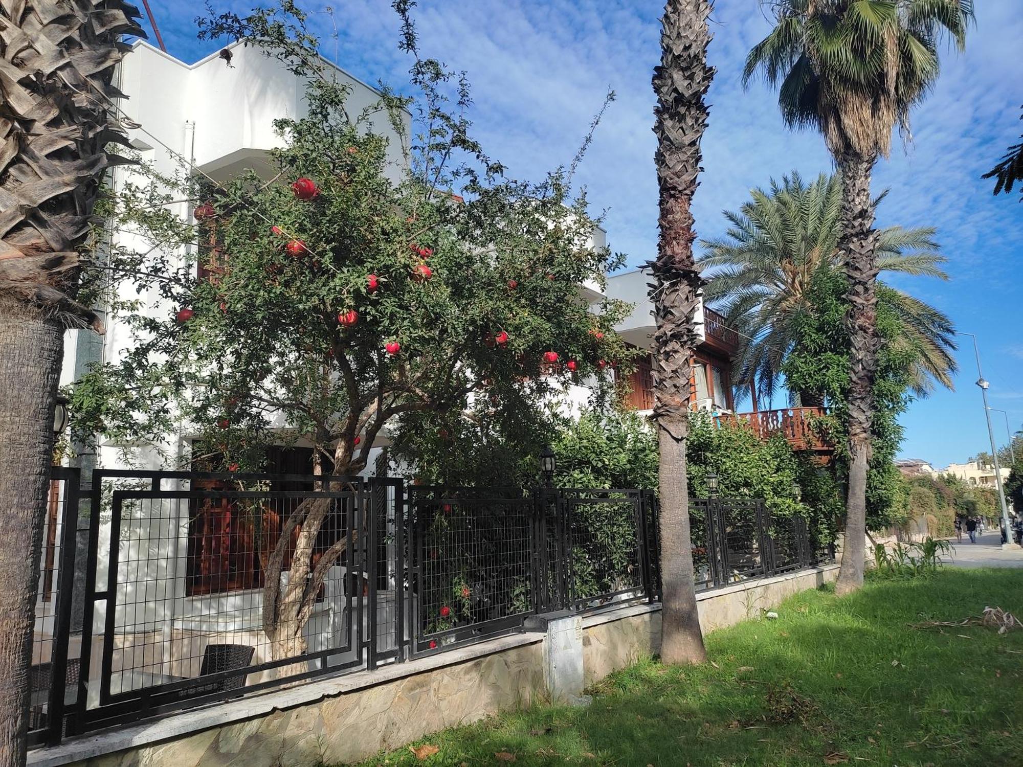 Garden Prizma Pension Kemer Habitación foto
